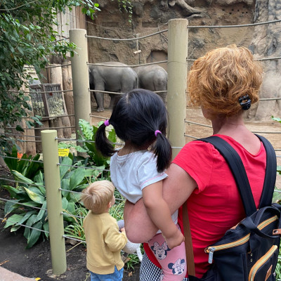 zoo
