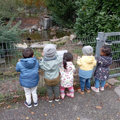 Tierpark